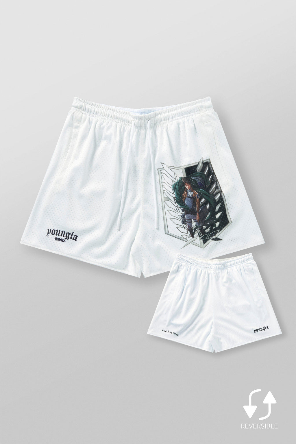 1126 - AOT? x YLA Mesh Shorts