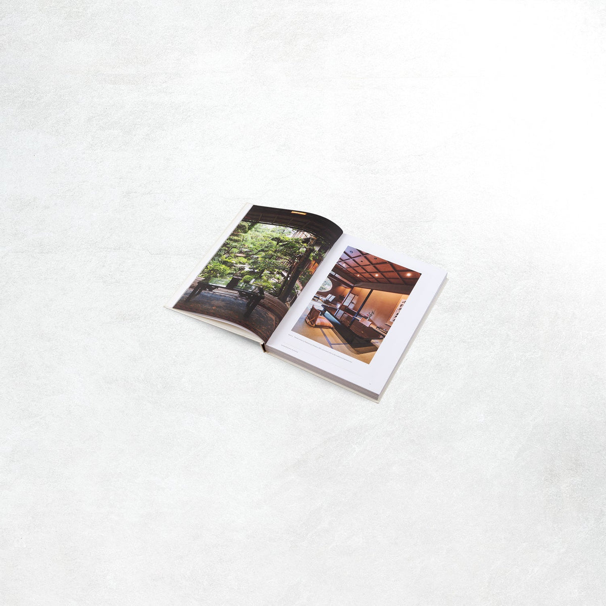 Gestalten: Onsen and Ryokan of Japan